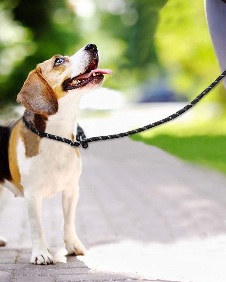 TagME Retrieverleine mit Zugstopp,Reflektierende Seilleine 185 cm Moxonleine,Weicher gepolsterter Gr