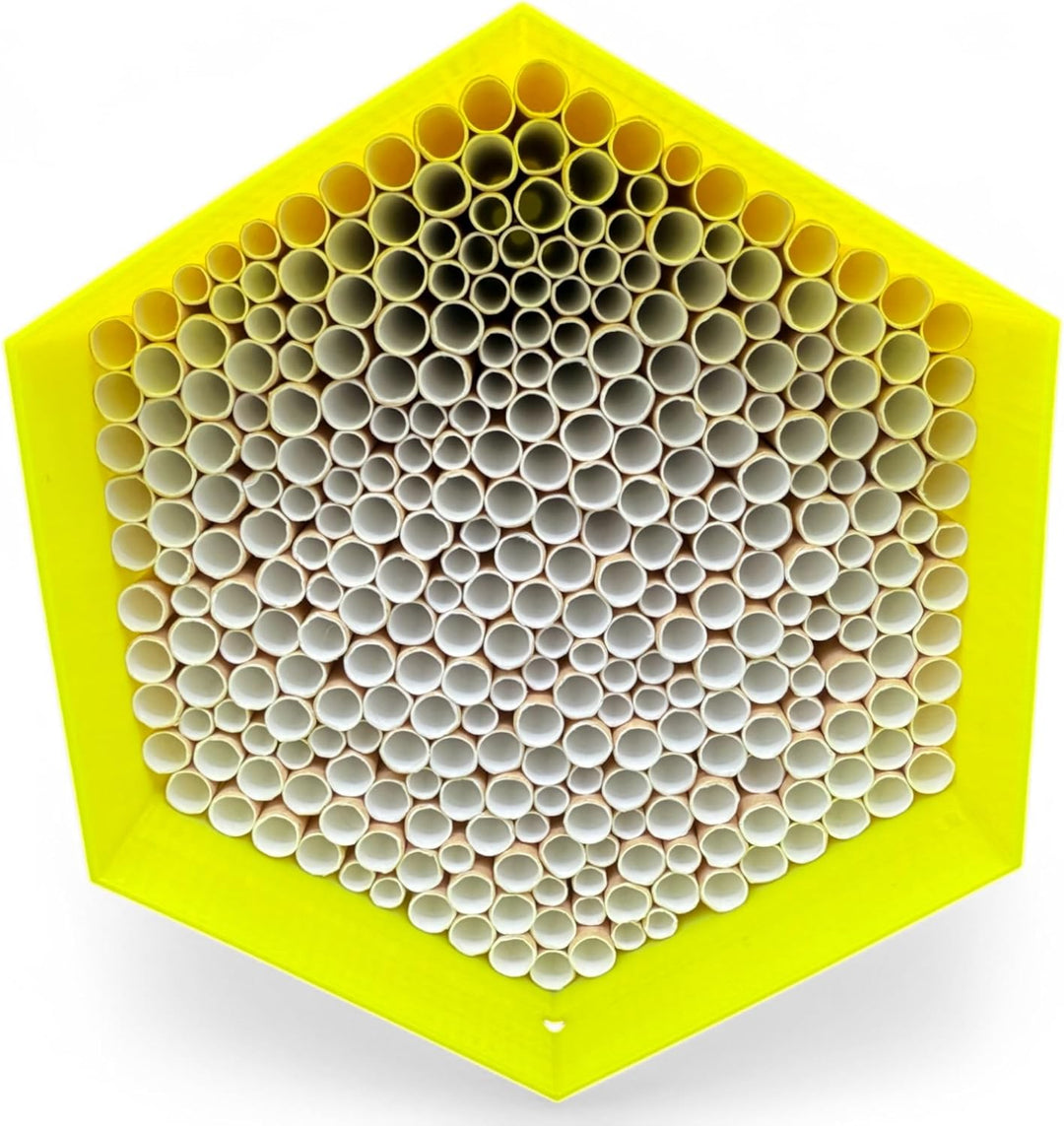 Wildbienen-Nisthilfe – absolut haltbar &amp; wetterfest. Insektenhotel mit 300 Nisthülsen. Hochwertiges