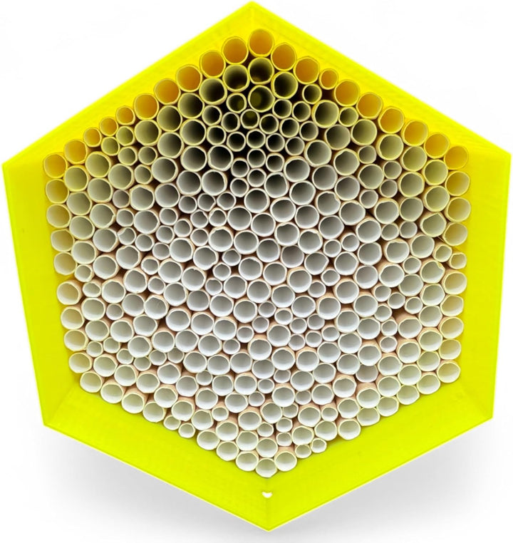 Wildbienen-Nisthilfe – absolut haltbar &amp; wetterfest. Insektenhotel mit 300 Nisthülsen. Hochwertiges