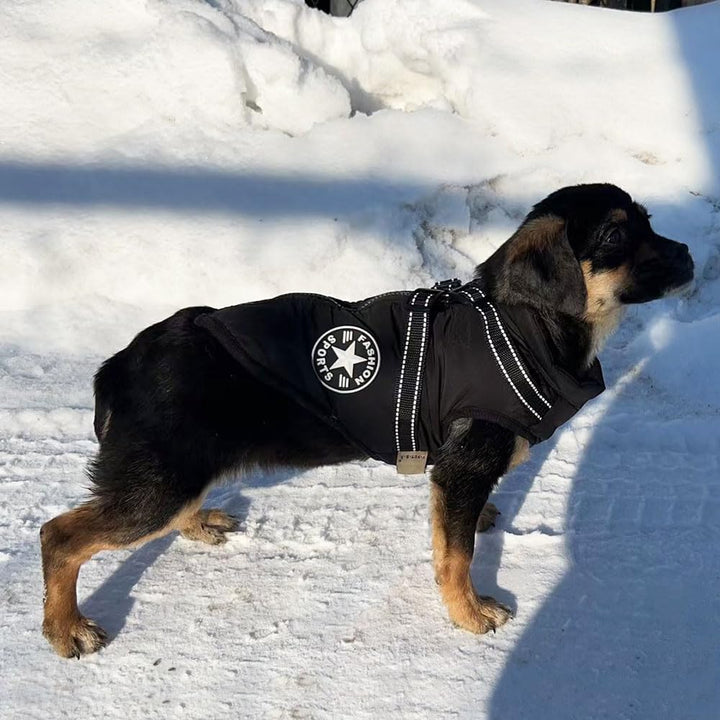 Voarge Hundejacke Winterweste Jacken, Hundemantel mit Geschirr für Kleine Hunde Hundemantel Wasserdi