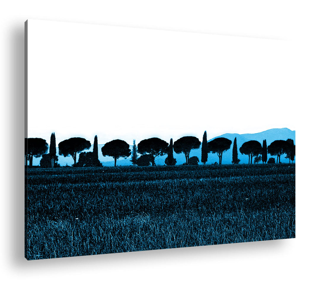 deyoli Toskana Landschaft mit Zypressen und Pinien Format 80x60 Effekt: Monocrome Blau als Leinwandb