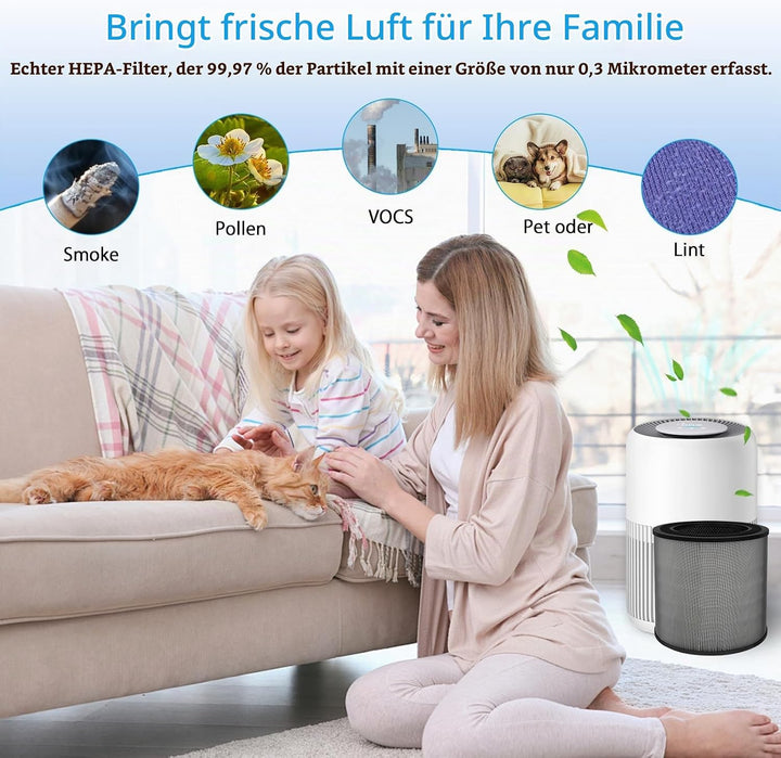 2 Stück FY0910 Ersatzfilter für Philips 900 Serie AC0950 AC0951, H13 True HEPA Filter mit Aktivkohle