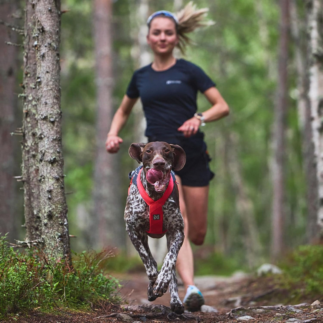 Non-stop dogwear FREEMOTION Harness 5.0 |111| Hundegeschirr für alle Sportarten, Grösse:5, 5