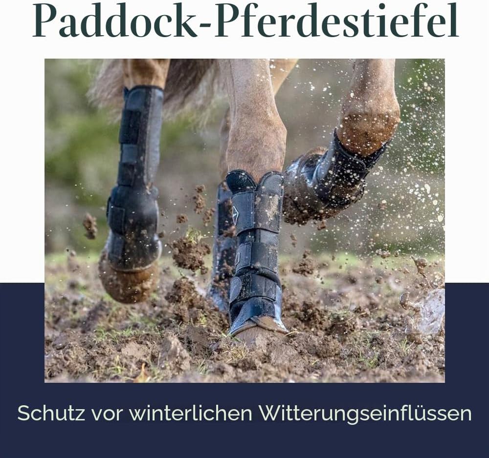 LeMieux Paar Stiefel L Schwarz, L Schwarz