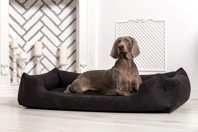 tierlando Moritz Hundebett Hundesofa M - XXXL 90 110 130 160 185 cm Grösse: M3 / M 80cm | Bezug: Pol