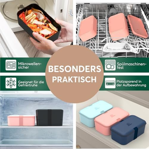 Umami Lunchbox Erwachsene, Verschachtelbar Auslaufsichere Bento Box mit 4 Bestecke & Fächern, Brotdo