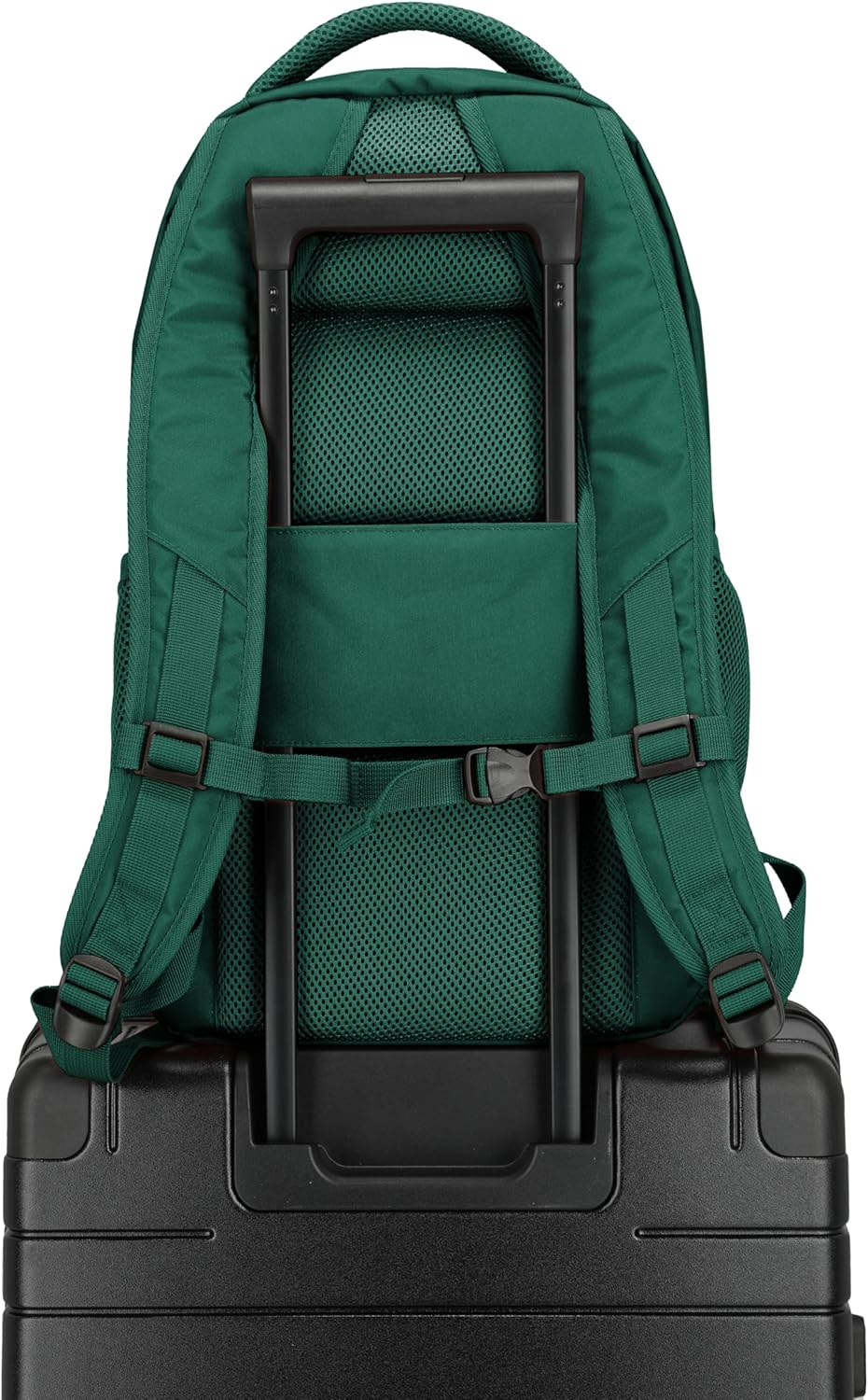 Travelite Handgepäck Rucksack, Laptop Rucksack 15,6 Zoll, BASICS, Daypack, Tagesrucksack mit vielen