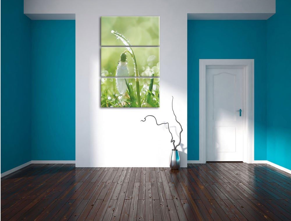 Pixxprint Schneeglöckchen auf Frühlingswiese als Leinwandbild/Grösse: 3 Teilig (120x80) cm/Wandbild/