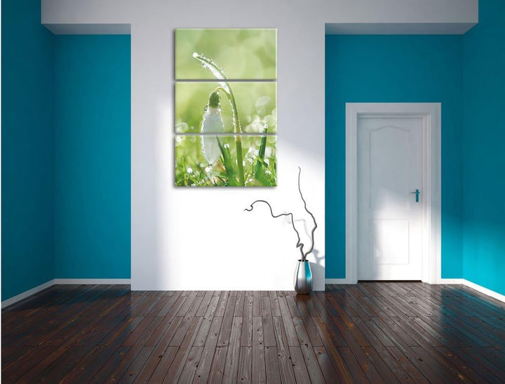 Pixxprint Schneeglöckchen auf Frühlingswiese als Leinwandbild/Grösse: 3 Teilig (120x80) cm/Wandbild/