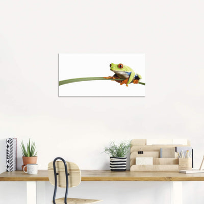 ARTland Wandbild Alu Verbundplatte für Innen & Outdoor Bild 60x30 cm Frosch Tiere Natur Pflanze Blät