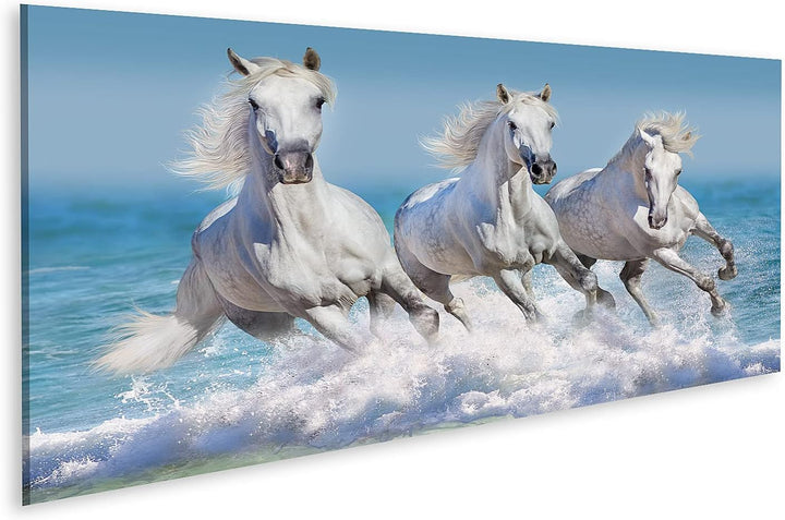 islandburner Bild auf Leinwand Pferde Wasser Weisses Pferd Herde Kinderzimmer Reiten Bilder Wandbild