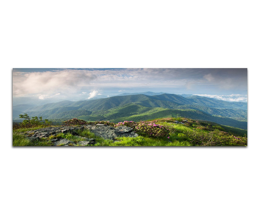 Paul Sinus Art Panoramabild auf Leinwand und Keilrahmen 150x50cm Landschaft Berge Wiese Wolkenhimmel