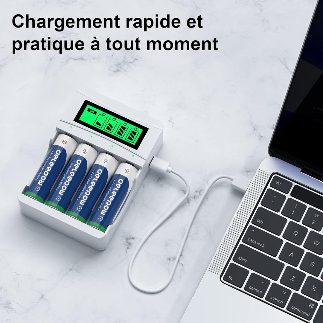Delyeepow Akku Ladegerät, mit 1100mAh 8 Stück AAA Akkus Wiederaufladbar, NiMH 1.2V Batterie AAA Wied