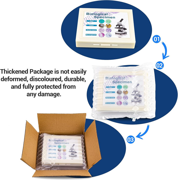 USCAMEL 100 Mikroskop Objektträger, 100 vorbereitete Mikroskop-Objektträger mit Exemplaren für Kinde