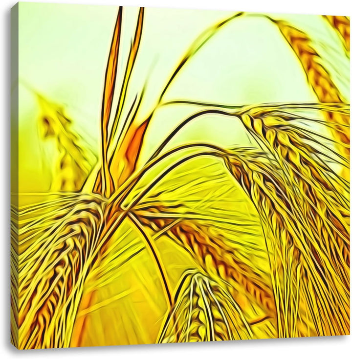 Pixxprint Weizenfeld, Format: 70x70 auf Leinwand, XXL riesige Bilder fertig gerahmt mit Keilrahmen,