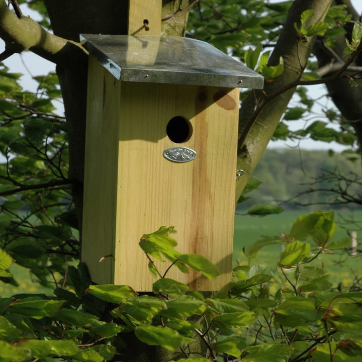 Esschert Design Beobachtungsvogel Nistkasten