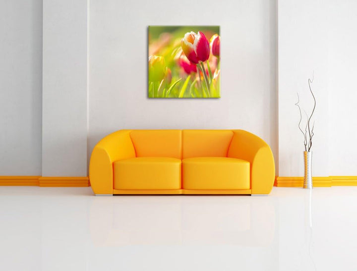 Blühende rote Tulpen, Format: 70x70 auf Leinwand, XXL riesige Bilder fertig gerahmt mit Keilrahmen,