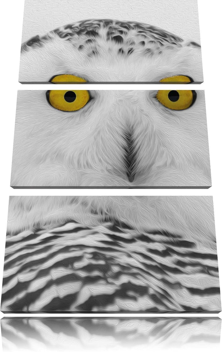 Pixxprint grosse Schnee Eule als Leinwandbild - Grösse: 3-Teilig (120x80cm) - Wandbild - Kunstdruck