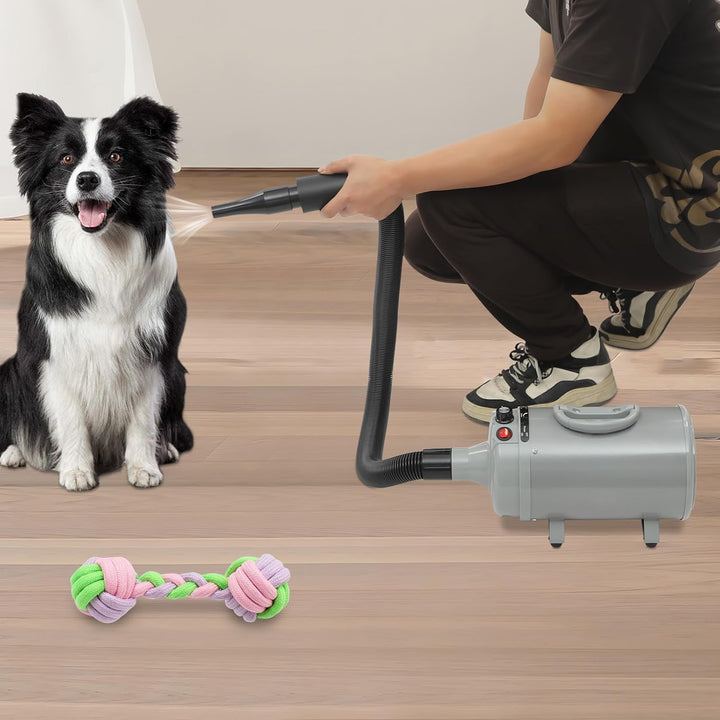 Hundefön Blower mit 4 Düsen - 2200W Profi Blower Hund, Leiser Hundepflege Trockner Gebläse für Hunde