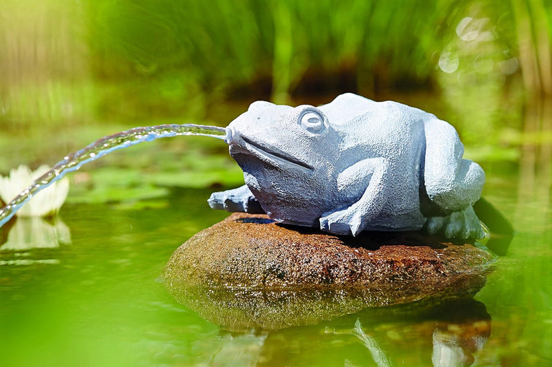 OASE 36774 Wasserspeier Frosch | Teichfigur | Dekoration | Wasserstrahl | Sauerstoff |