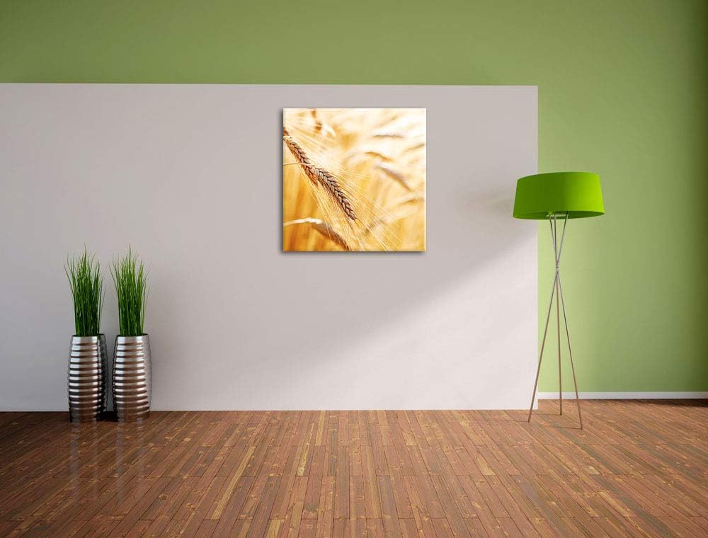 Weizen auf dem Feld, Format: 70x70 auf Leinwand, XXL riesige Bilder fertig gerahmt mit Keilrahmen, K