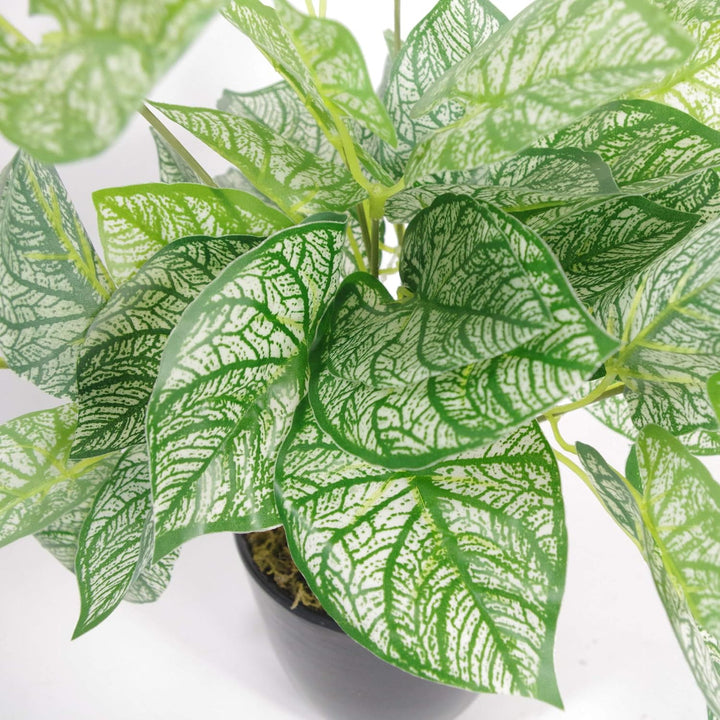 Leaf Künstliche Caladium-Pflanze, Blätter, 40 cm, mit Topf