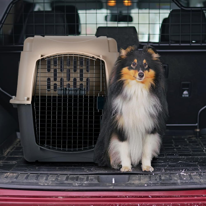 Petmate 21561 Transportín Vari Kennel Ultra 28, 71 x 52 x 55 cm, L