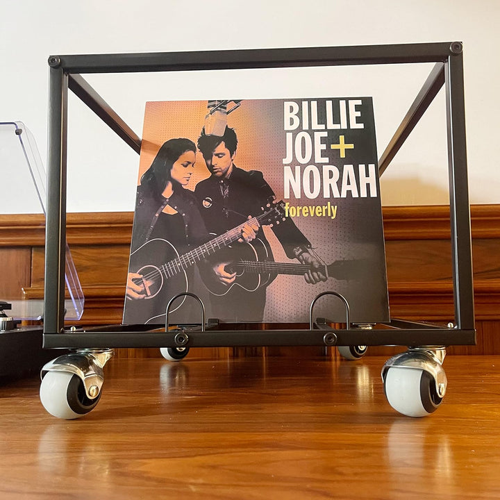 Schallplatten-Halter auf Rädern – für bis zu 100 LP – Albumhalter – Vinyl-Schallplatten-Organizer –