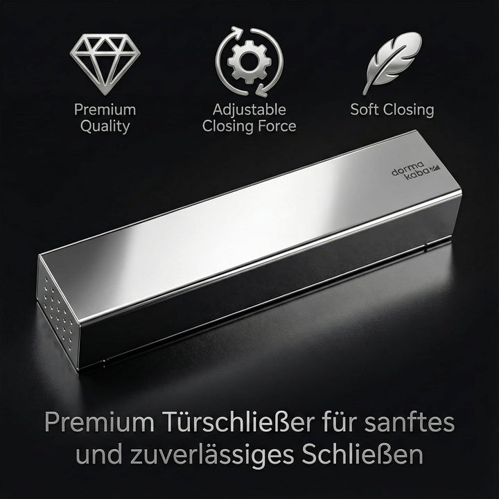Obentürschliesser Dormakaba Schliesserkörper TS 92 B - Silber