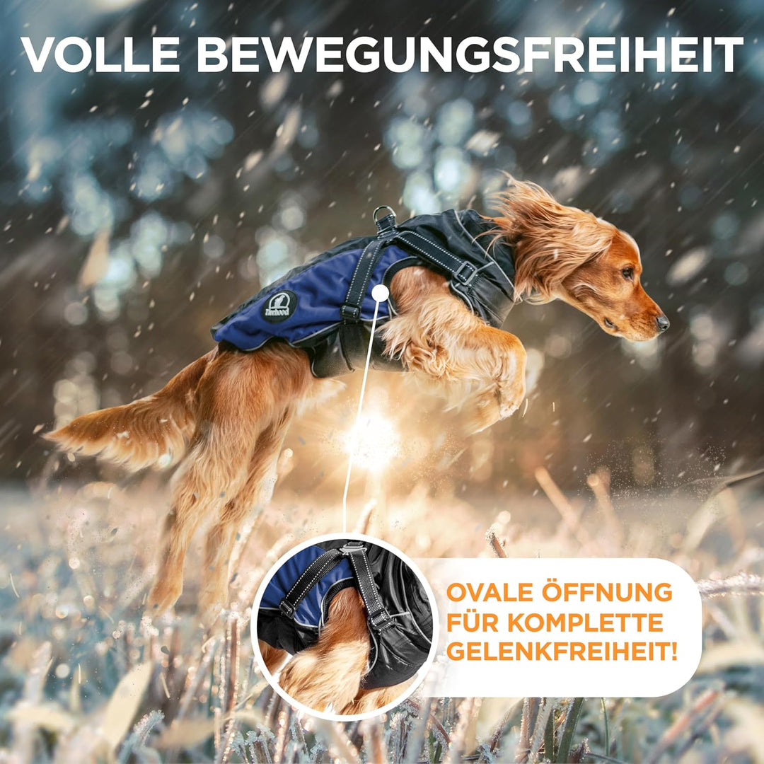 Tierhood Regenmantel Hund - Hunderegenmantel wasserdicht - Hundemantel für kleine Hunde - Reflektier