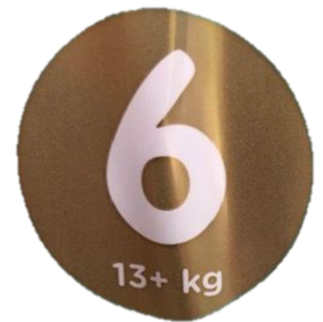 NEU 38 PAMPERS PREMIUM CARE WINDELN GR. 6, 13+ KG