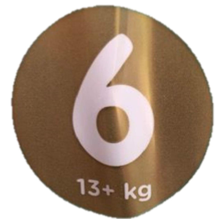 NEU 38 PAMPERS PREMIUM CARE WINDELN GR. 6, 13+ KG