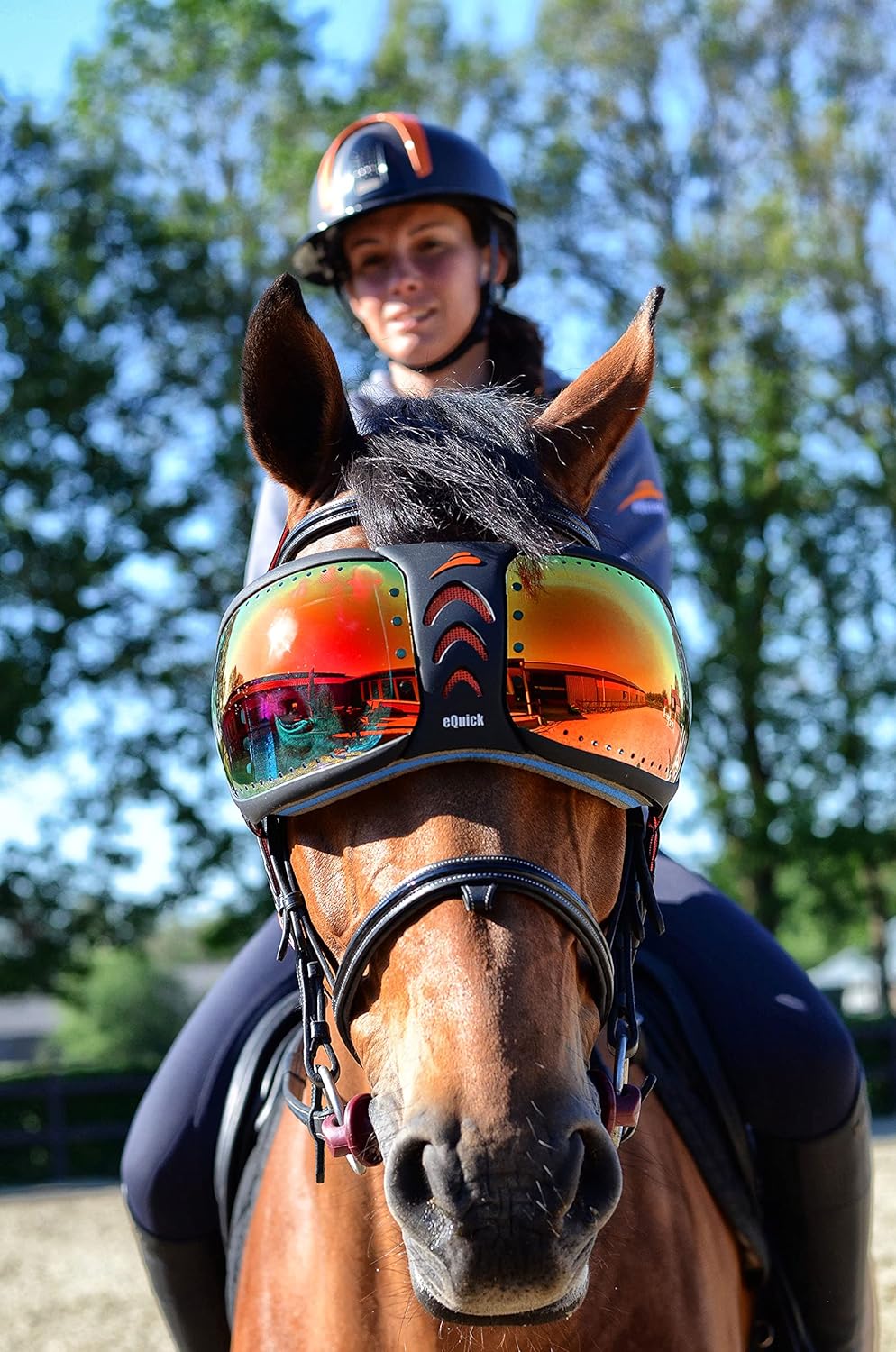EQUICK Brille Pferd eVysor