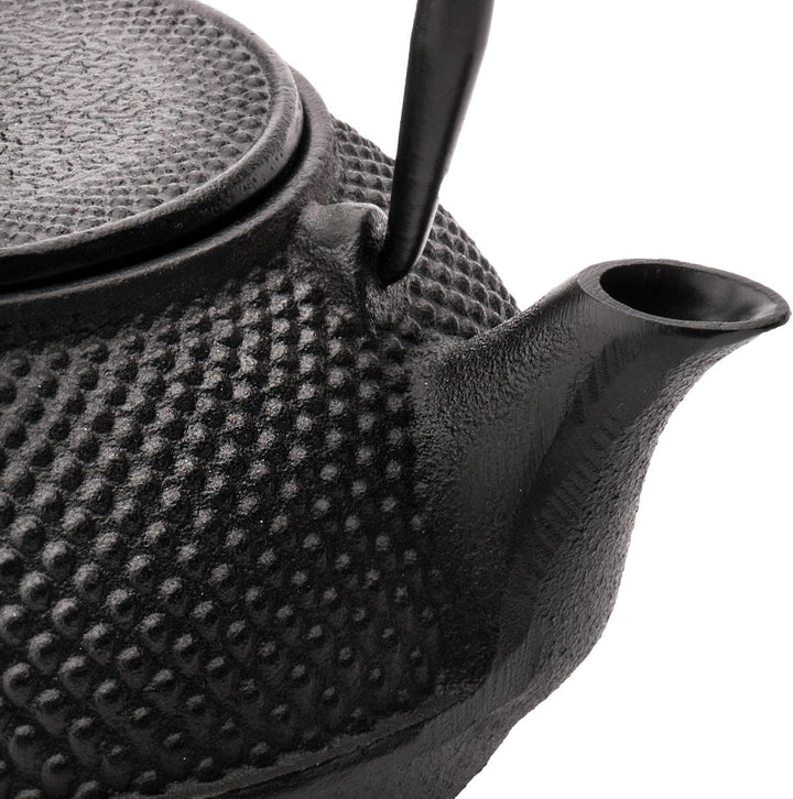 Teekanne asiatisch Gusseisen Set schwarz 1.1 Liter mit Edelstahl Tee-Filter-Sieb-Einsatz für losen T