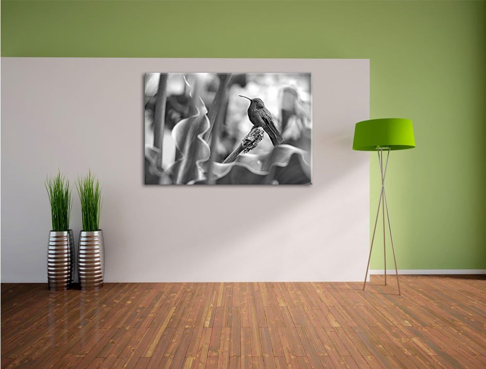 Pixxprint Kolibri in seinem Lebensraum als Leinwandbild/Grösse: 100x70 / Wandbild/Kunstdruck/fertig