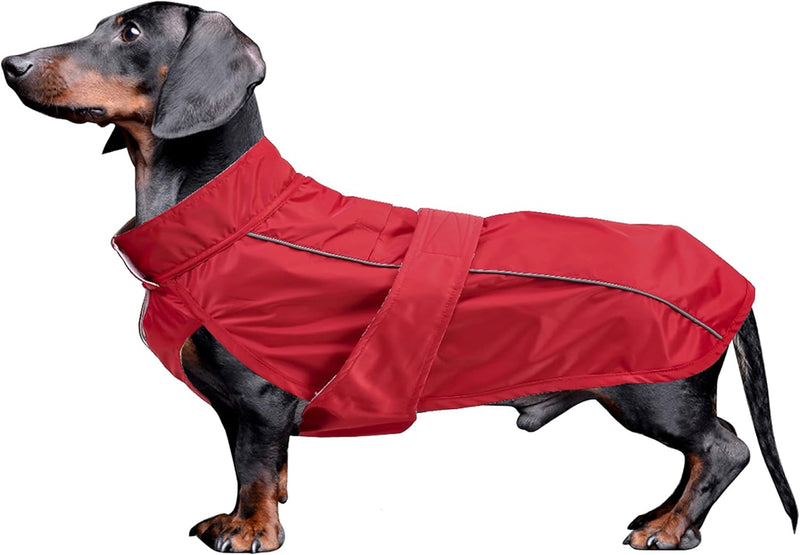 MOREZI Dachshund Regenmantel, wasserdichte Aussenschicht, Fleecefutter, reflektierende Besätze, Vers