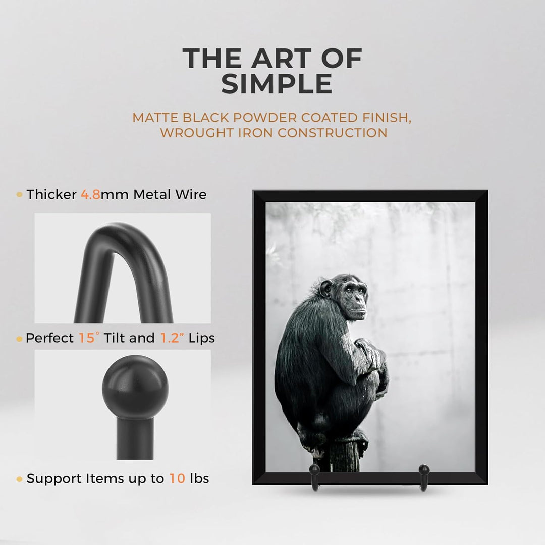 TR-LIFE Tellerständer für Display – 11,4 cm Tellerhalter Display Ständer + Metallrahmen Halter Ständ