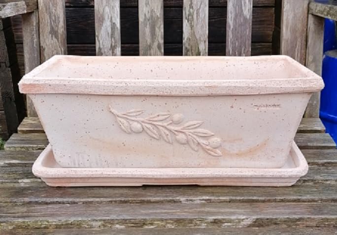 NEU !! Blumenkasten 50 cm mit Olivendekor echt Terracotta Terrakotta Garten Deko Pflanztopf Balkonka