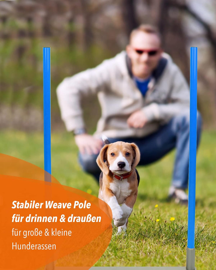 2by2 Weave Poles – Blau – 2er Set Agility-Slalomstangen mit Metallbasis – für Training & Parcoursauf
