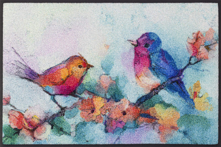 wash+dry Fussmatte, Birdorama 50x75 cm, innen und aussen, waschbar 50x75 cm Türkis, 50x75 cm Türkis