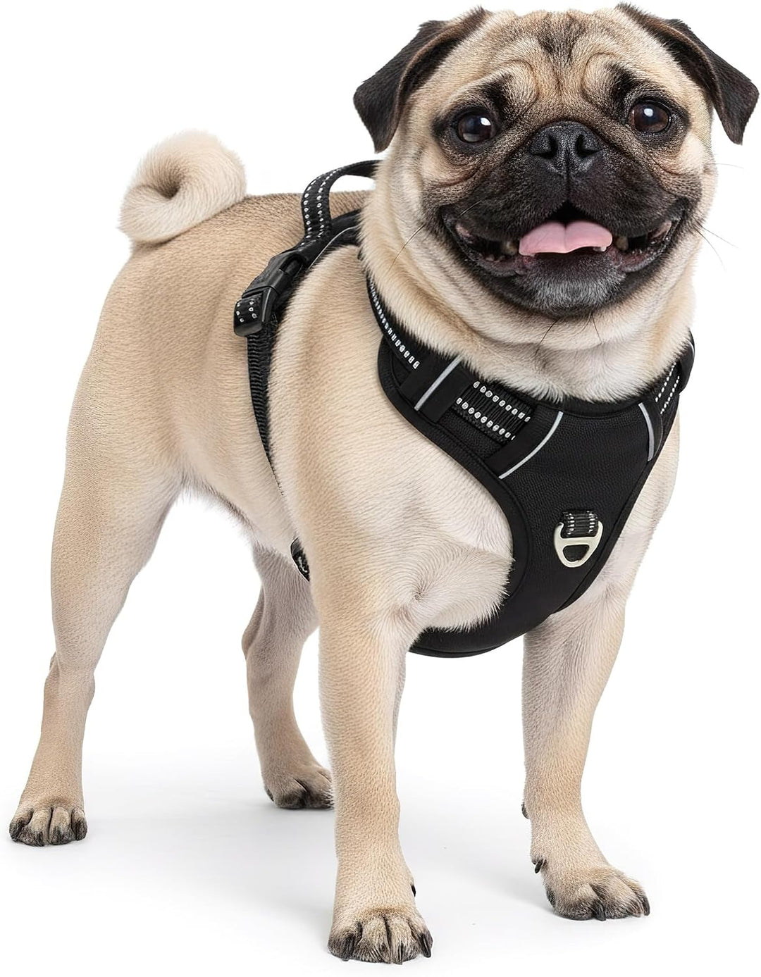 Reichstadt Pets Hundegeschirr Mini Hunde 25RSP083 Black XS | Verstellbares No-Pull Geschirr mit Grif