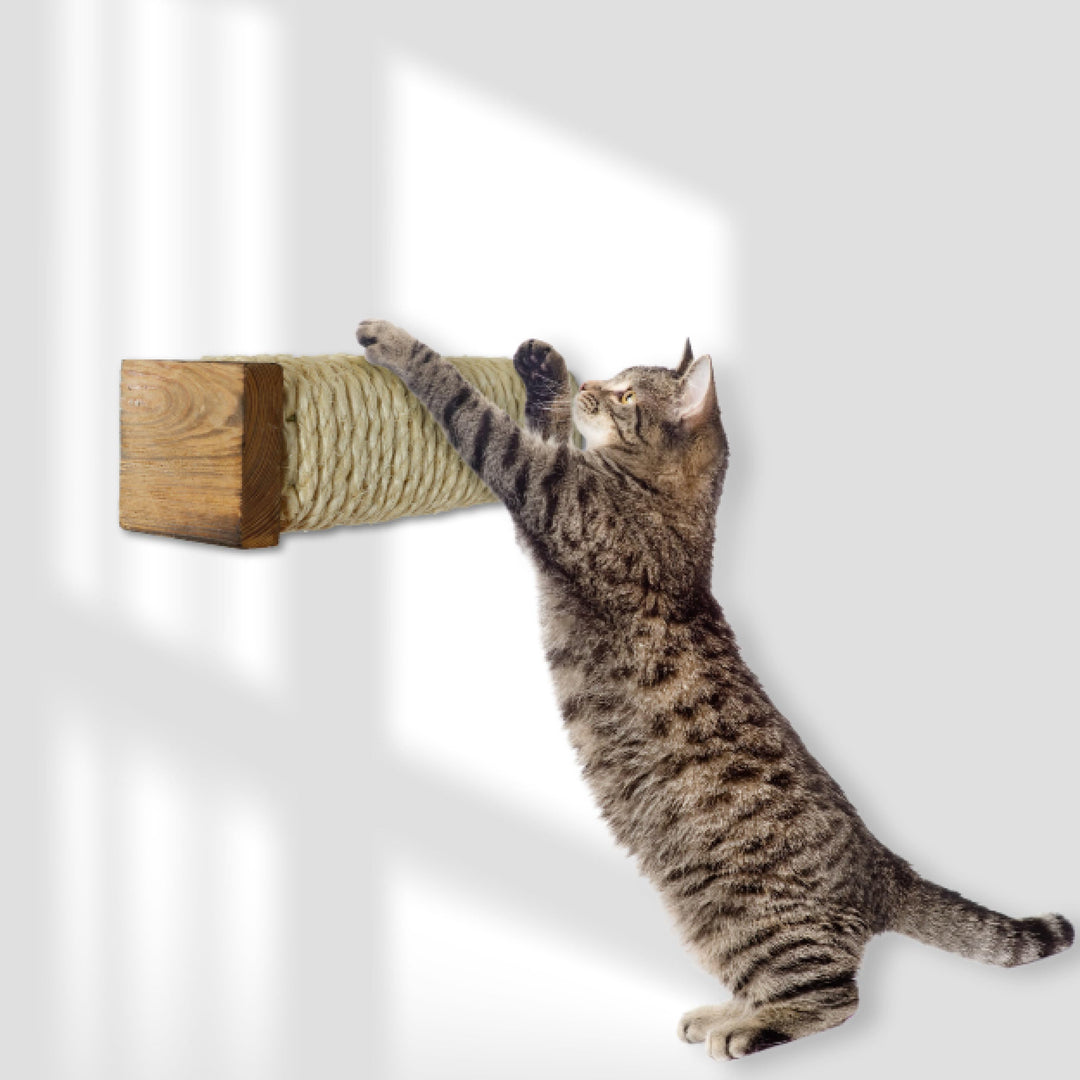 Rohrschneider Katzentreppe für Katzenwand | Kletterwand Katzen Holz GEFLAMMT | Wandelemente | Kratzs