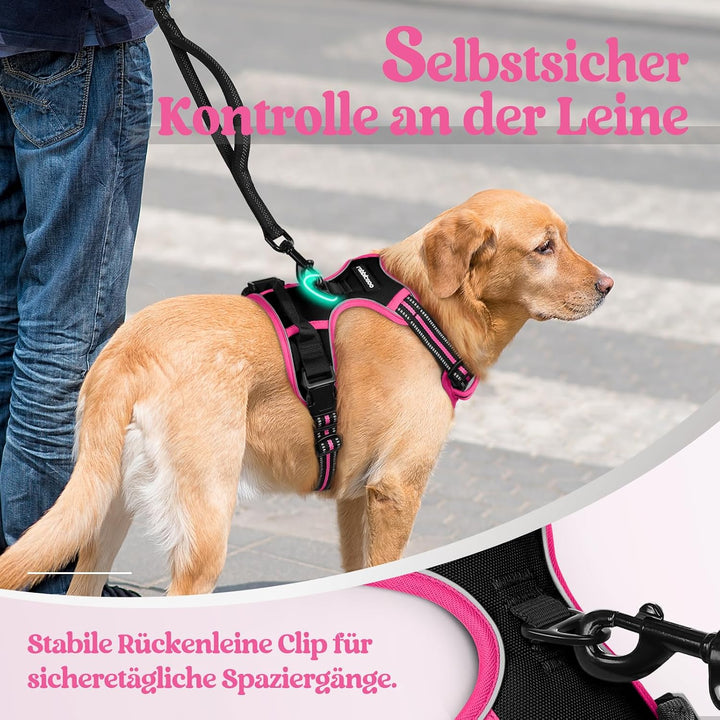 rabbitgoo Hundegeschirr Mittelgrosse Hunde, Anti Zug Geschirr mit Kontrolle, No Pull Verstellbar Hun