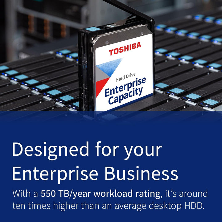 Toshiba HD3.5 SA3-Raid 20TB MG10ACA20TE /7.2k/512e 20 TB, 20 TB