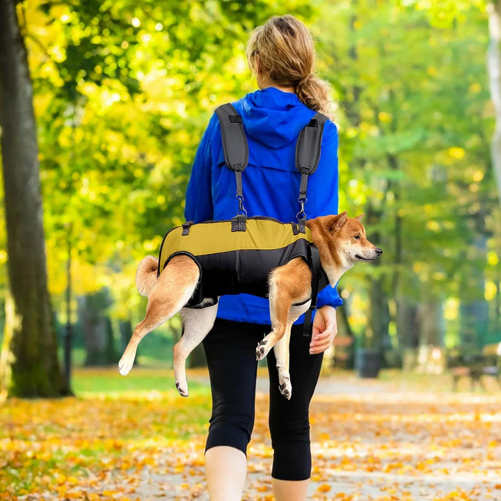 PETCUTE Hunde-Tragegeschirr,Hundegeschirr-Rucksack für grosse Hundes,Ganzkörpergeschirr mit Griff,Ve