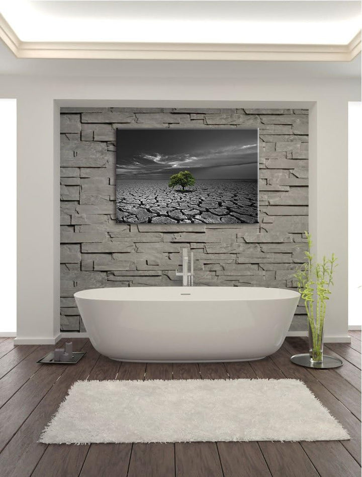 einsamer Baum auf ausgetrocknetem Boden schwarz/weiss Format: 100x70 auf Leinwand, XXL riesige Bilde