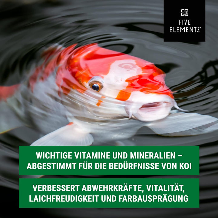 FIVE ELEMENTS Koi-Vitamine | 2,5 l flüssig | wichtige Vitamine und Mineralien | verbessert Abwehrkrä