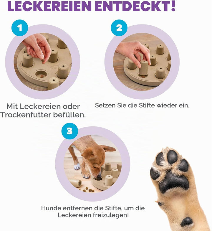 Outward Hound Nina Ottosson Dog Smart Treat Puzzle Enrichment Toy, Level 1 Beginner, Tan, Composite,