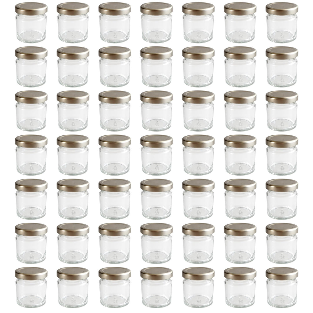 hocz 50x Mini Marmeladengläser 53 ml Set | Deckel Silber TO 43 | mit Etiketten NZ | kleine Einmachgl