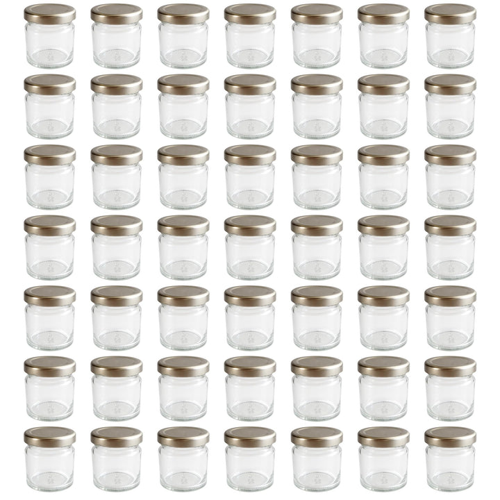 hocz 50x Mini Marmeladengläser 53 ml Set | Deckel Silber TO 43 | mit Etiketten NZ | kleine Einmachgl